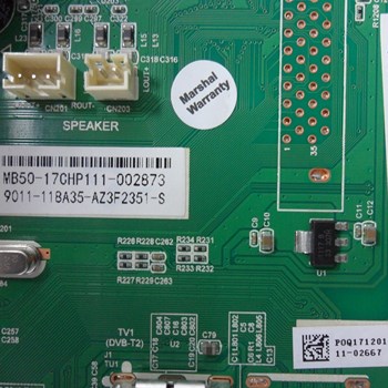 برد-مین-مارشال-4310