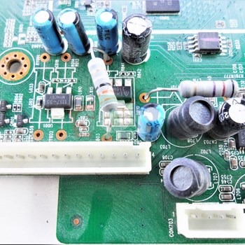 برد-مین-مارشال-4228