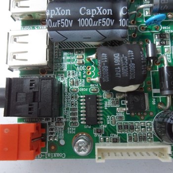 مین-برد-سونیا-4398