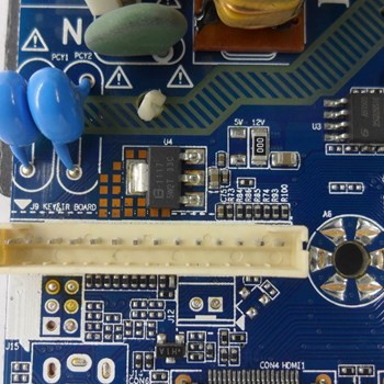 برد-مین-گوسونیک-4443