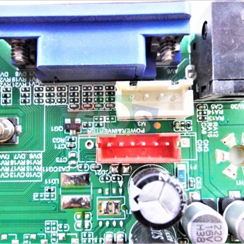 برد-مین-صنام-2302