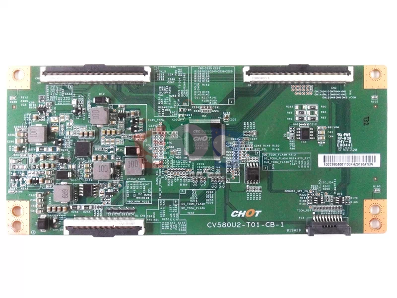 برد-تیکان-سونیا-58KD7965