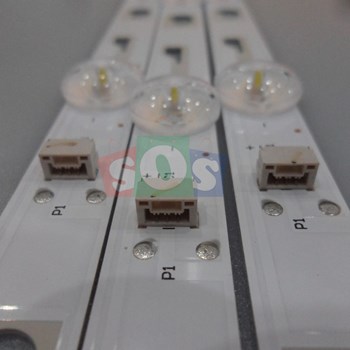 بک-لایت-اکسنت-4919