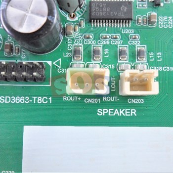 برد-مین-اکسون-4383