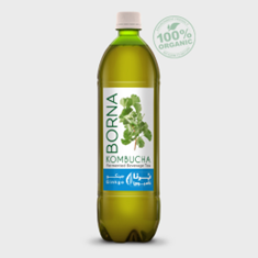 کامبوچا-جینکو-تقویت-حافظه-و-پیشگیری-از-آلزایمر