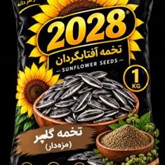 تخمه-آفتابگردان-گلپر