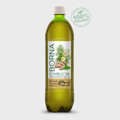 کامبوچا-زنجبیل-نعنا-بهبود-و-رفع-مشکلات-گوارشی