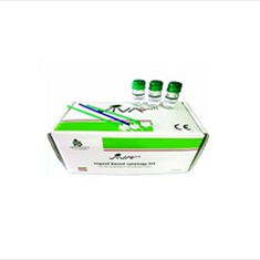 لیکوئید-بیس-براش-بیس-سیتولوژیبسته60-عددی